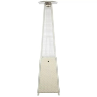Уличный газовый обогреватель WWT 13I Rotang White