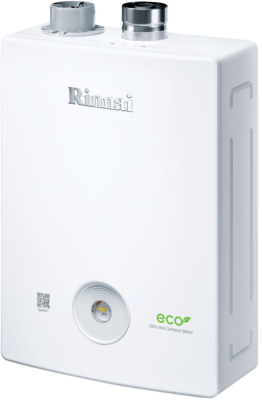 Настенный газовый котел двухконтурный  Rinnai BR-R42