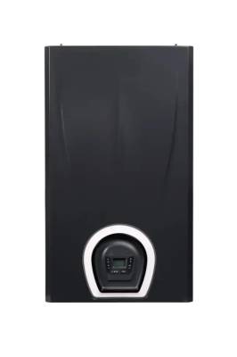 Настенный газовый котел Federica Bugatti 32В VARME Black